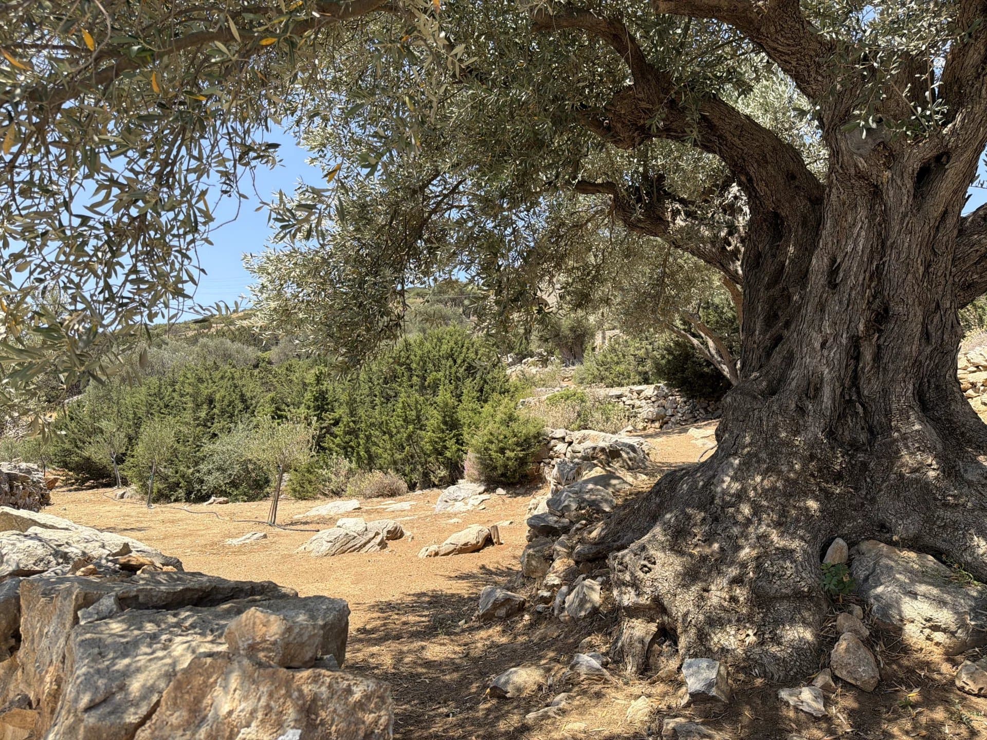 Authentic Cycladic Estate for Sale in Kostos, Paros – A Private Hamlet Overlooking the Aegean - Image 51