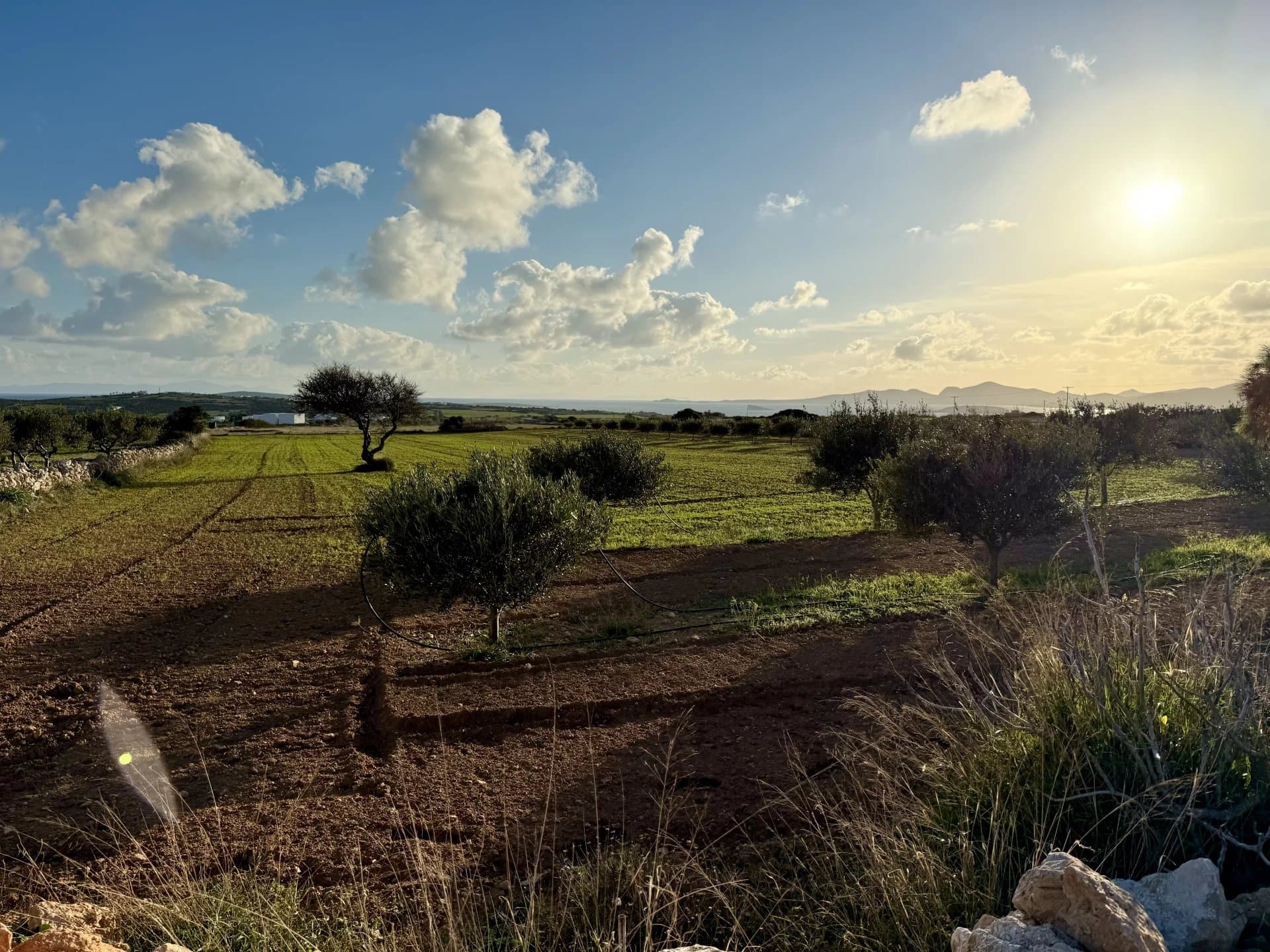 Charming Plot with Sea & Mountain Views – A Unique Opportunity - Image 3