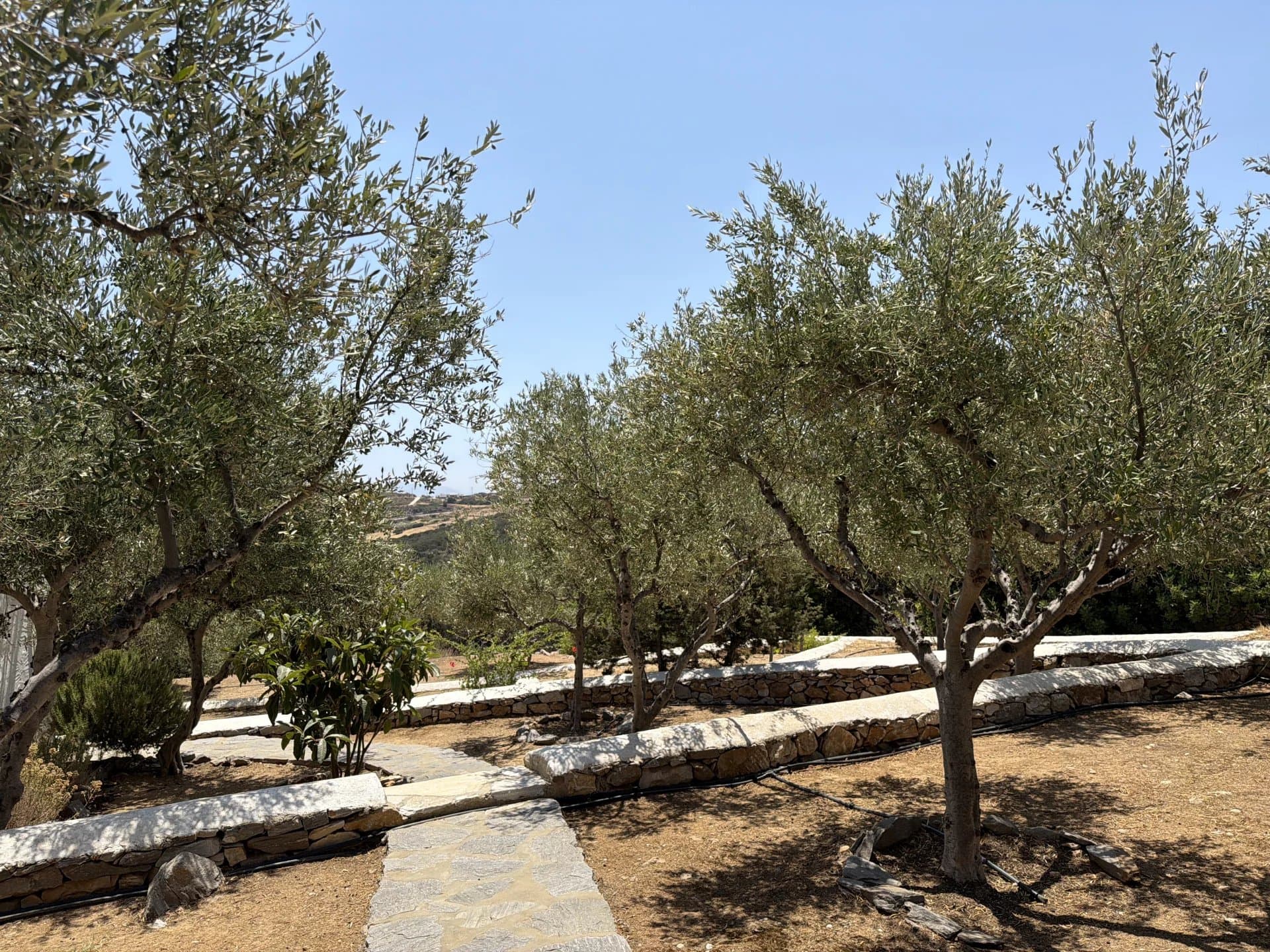 Authentic Cycladic Estate for Sale in Kostos, Paros – A Private Hamlet Overlooking the Aegean - Image 70