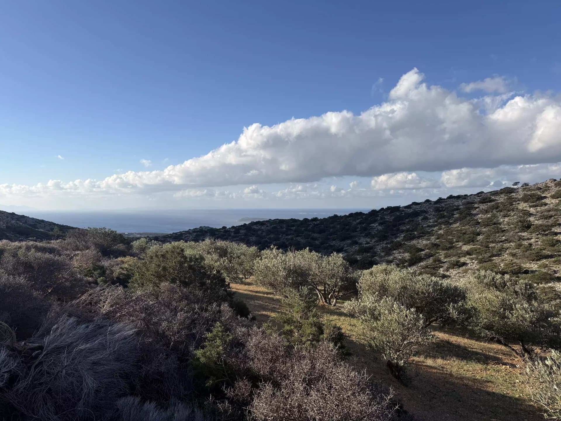 Exclusive Olive Grove Plot for Sale in Tranquil Agkairia – Build Your Paros Dream Retreat - Image 9