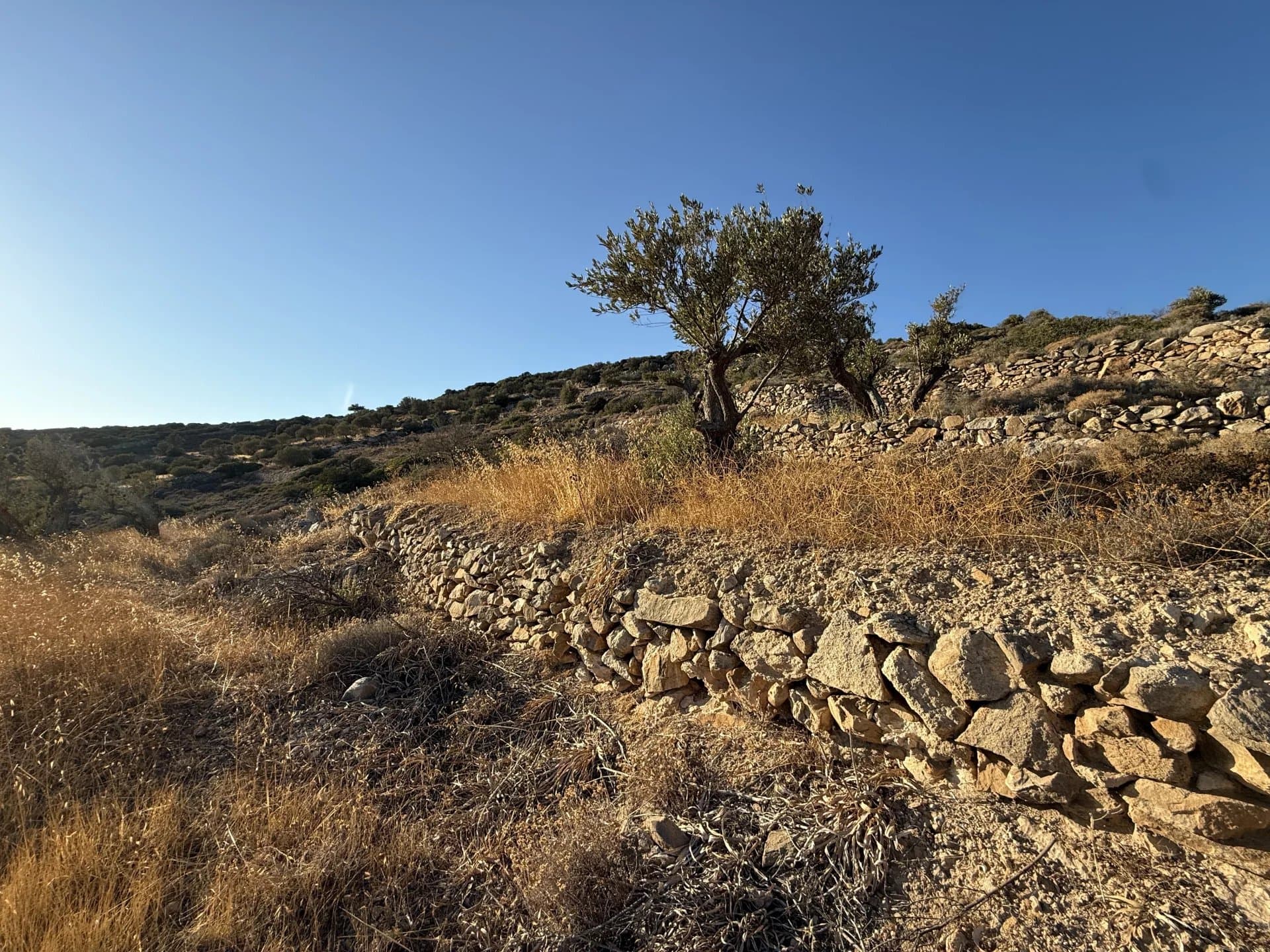 FOR SALE – REVISED PRICE FOR AN OUTSTANDING PROJECT IN PAROS – LAND WITH PRESTIGIOUS ARCHITECTURAL PLANS - Image 12