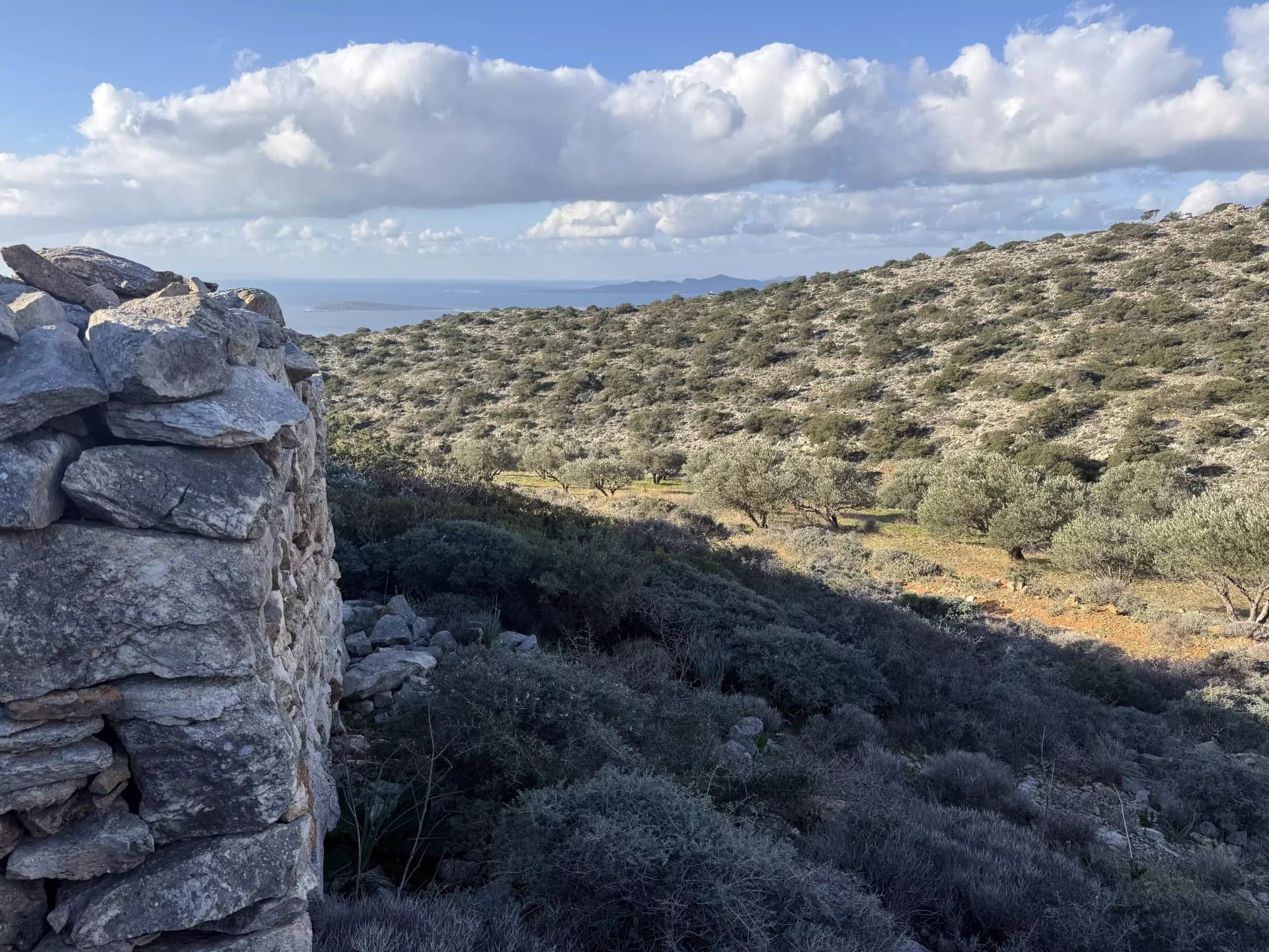 Exclusive Olive Grove Plot for Sale in Tranquil Agkairia – Build Your Paros Dream Retreat - Image 12