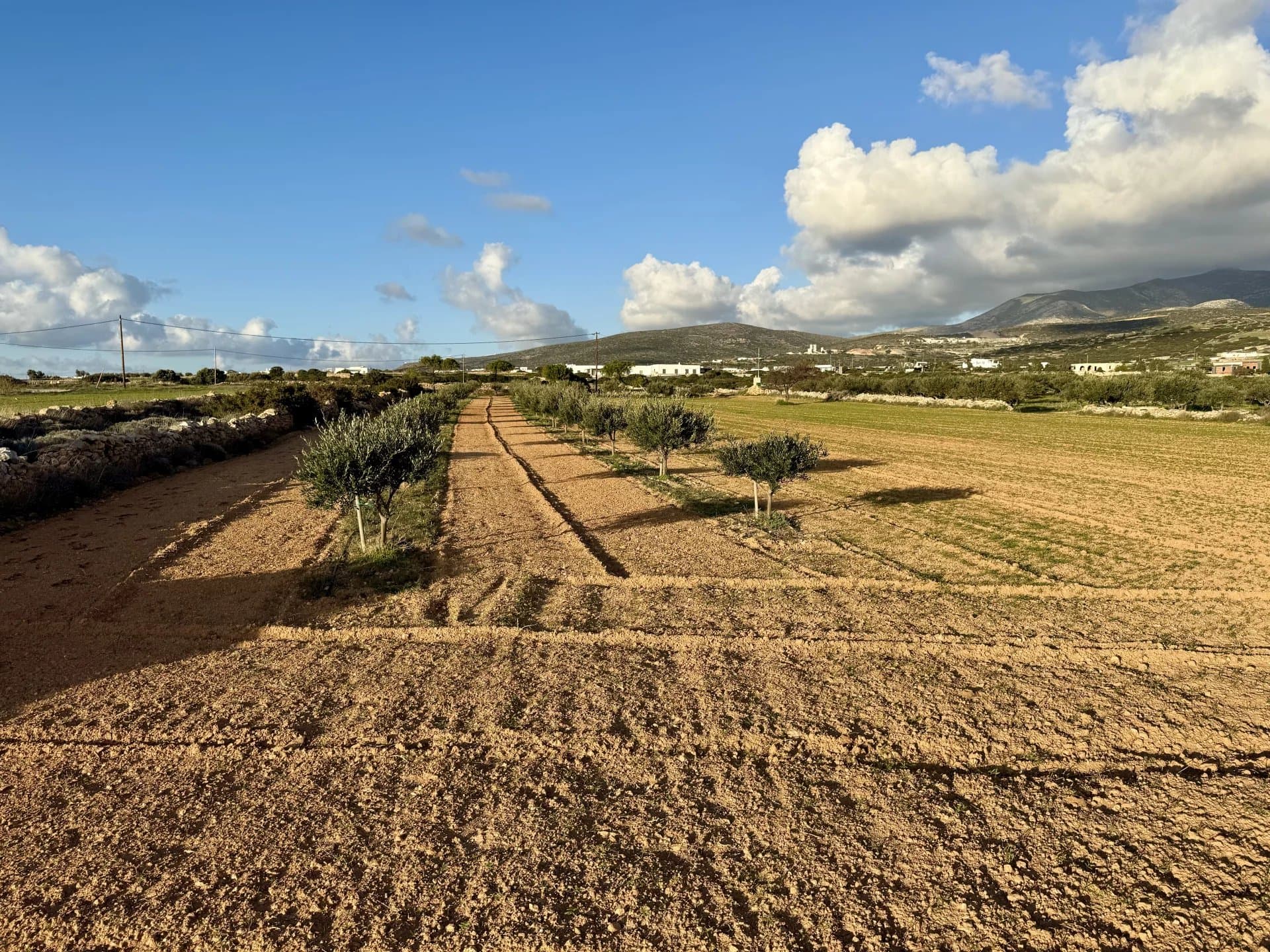 Charming Plot with Sea & Mountain Views – A Unique Opportunity - Image 5