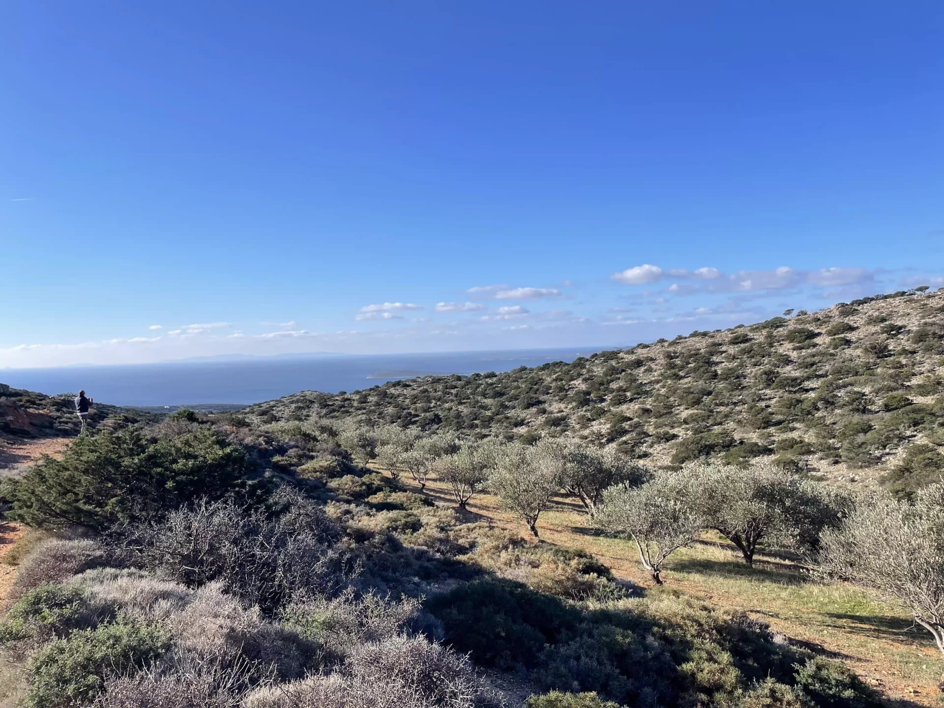 Exclusive Olive Grove Plot for Sale in Tranquil Agkairia – Build Your Paros Dream Retreat - Image 1
