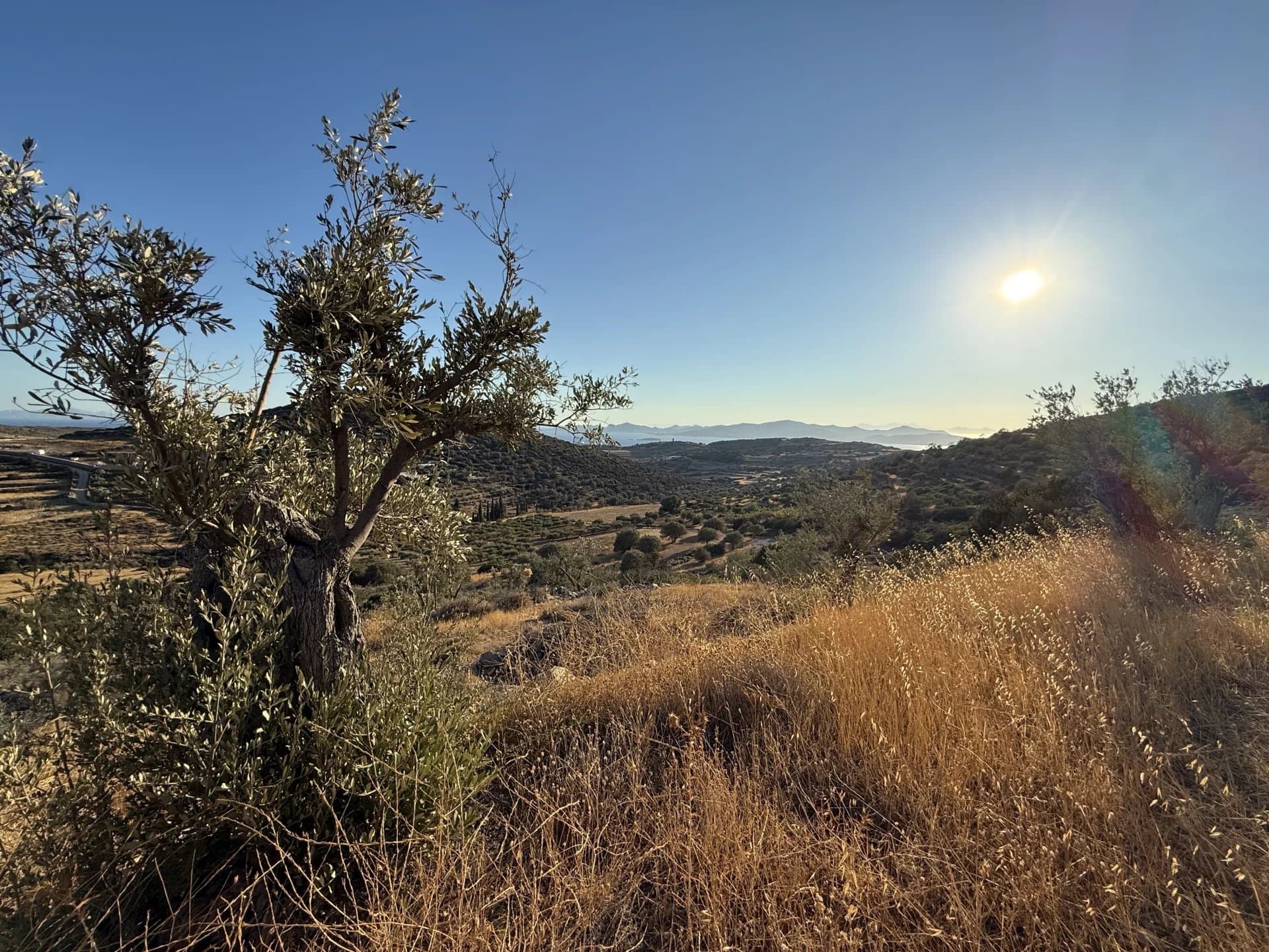 FOR SALE – REVISED PRICE FOR AN OUTSTANDING PROJECT IN PAROS – LAND WITH PRESTIGIOUS ARCHITECTURAL PLANS - Image 11