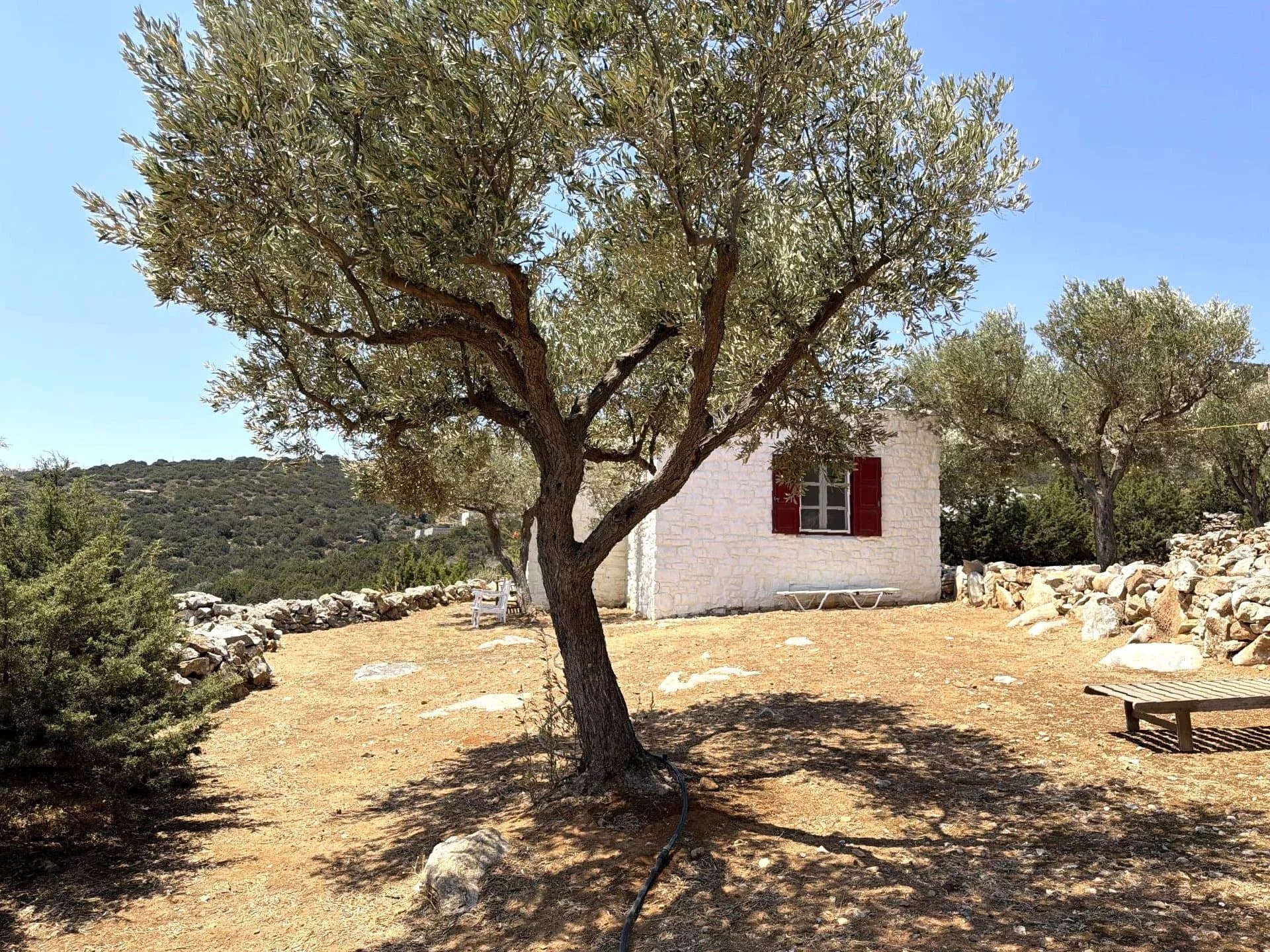 Authentic Cycladic Estate for Sale in Kostos, Paros – A Private Hamlet Overlooking the Aegean - Image 54