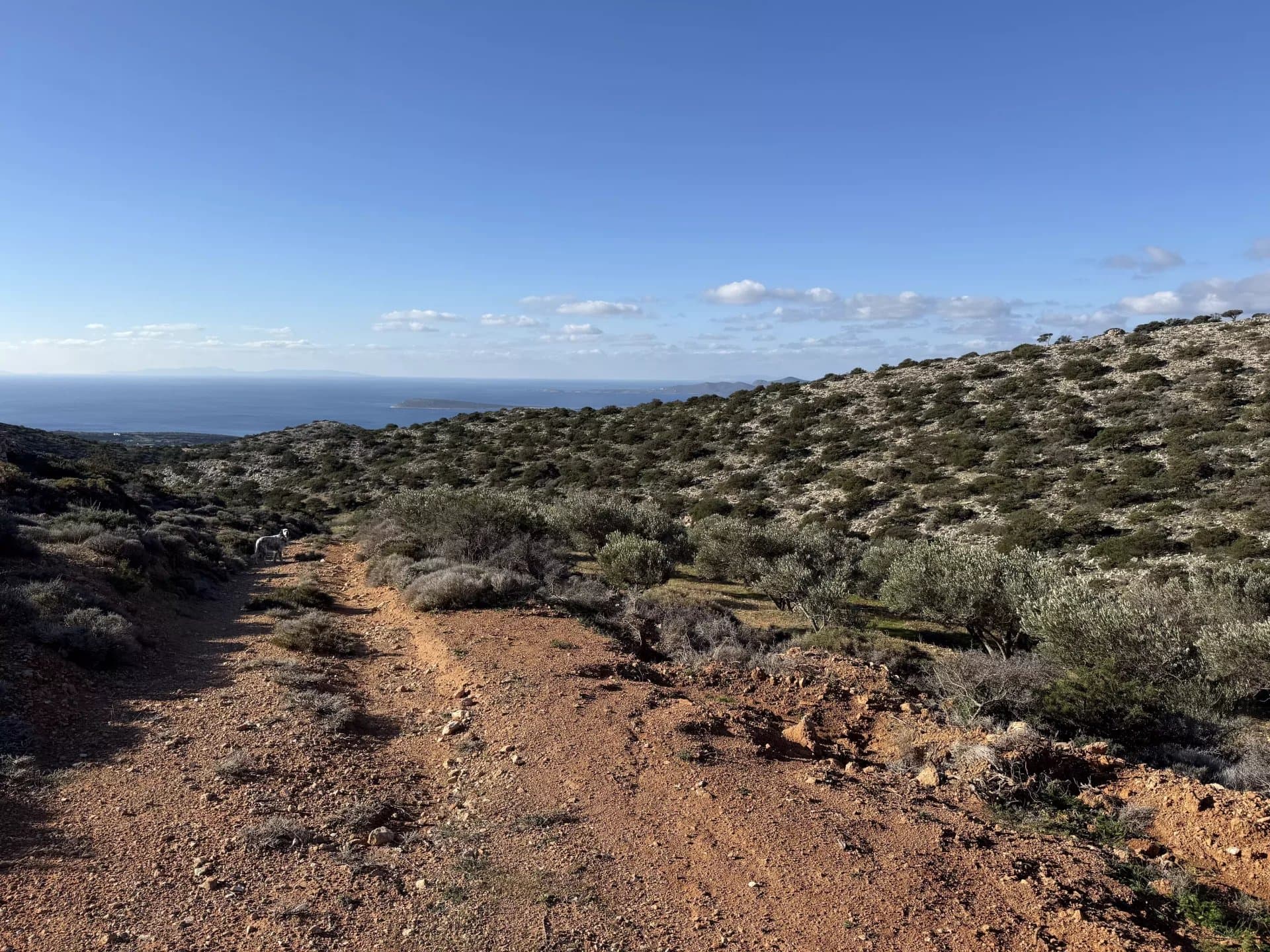 Exclusive Olive Grove Plot for Sale in Tranquil Agkairia – Build Your Paros Dream Retreat - Image 13