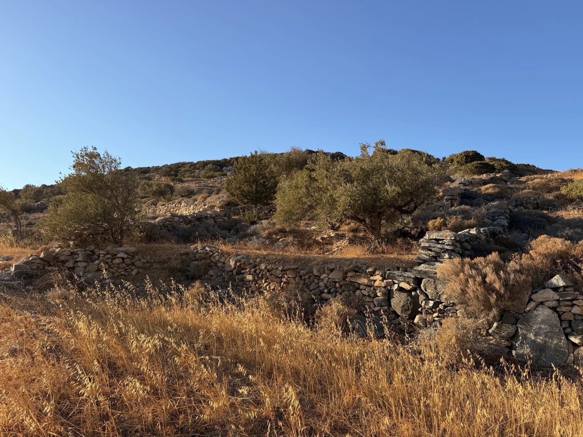 FOR SALE – REVISED PRICE FOR AN OUTSTANDING PROJECT IN PAROS – LAND WITH PRESTIGIOUS ARCHITECTURAL PLANS - Image 15